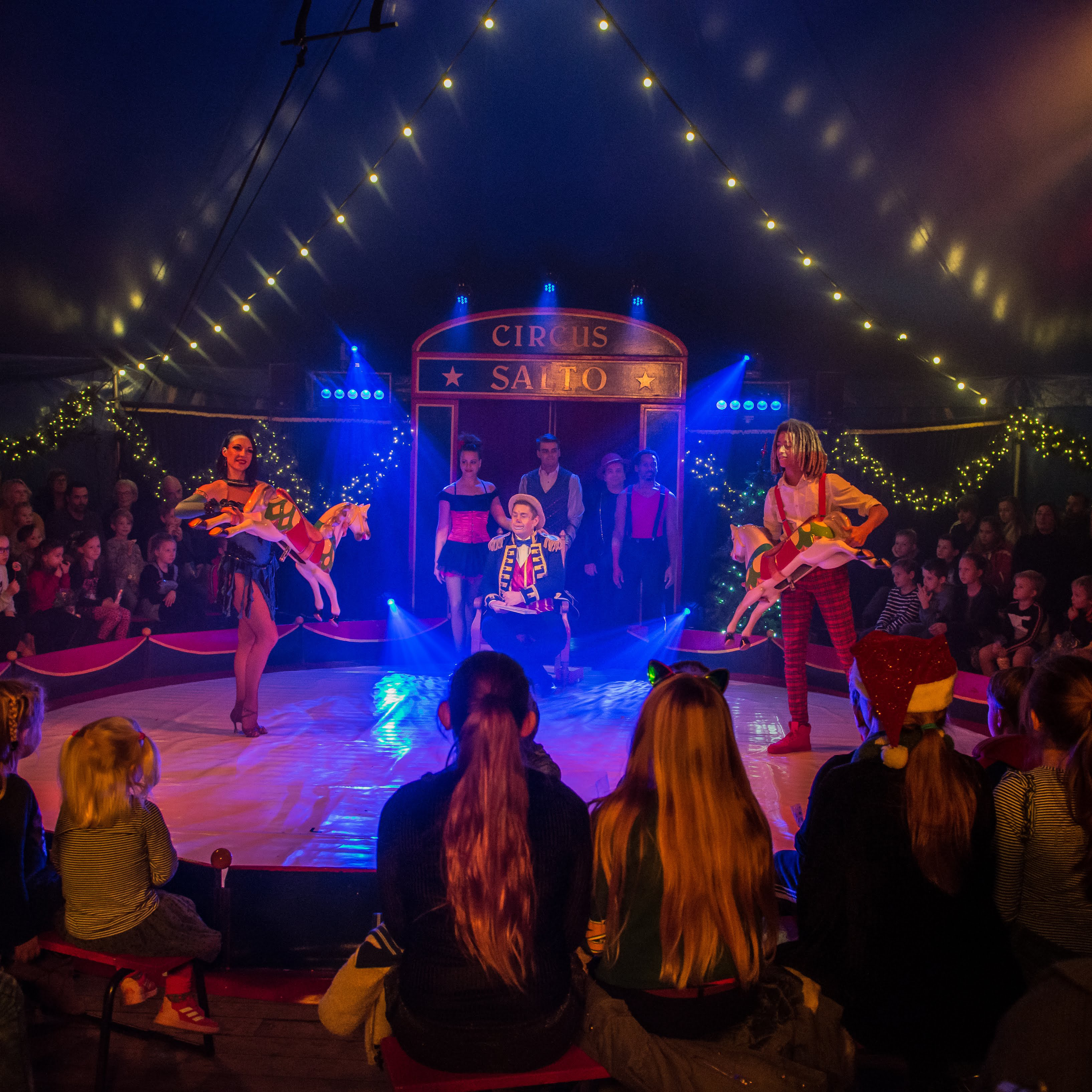 Paarden circusact