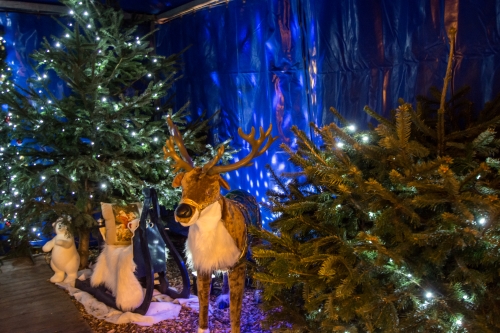 kerstcircus Salto leeuwarden